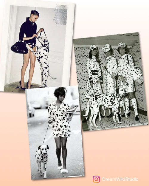 Dalmation + Black Onyx necklace